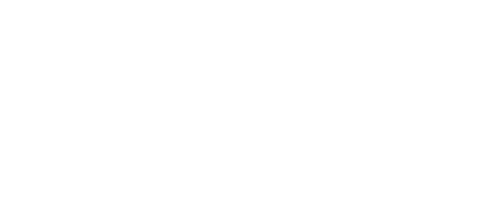 Smartlink Solutions logo